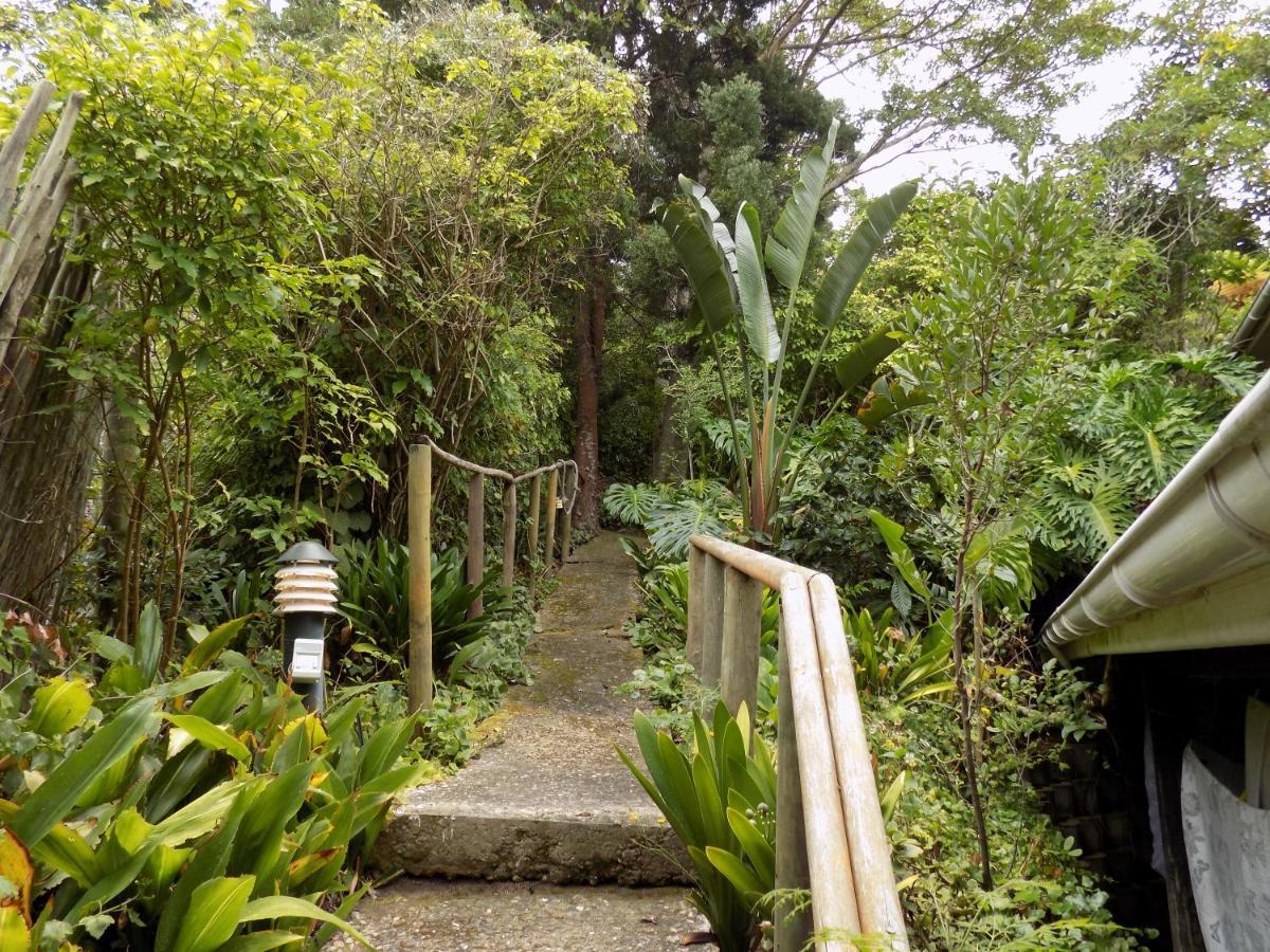 Protea Guest House Knysna Extérieur photo