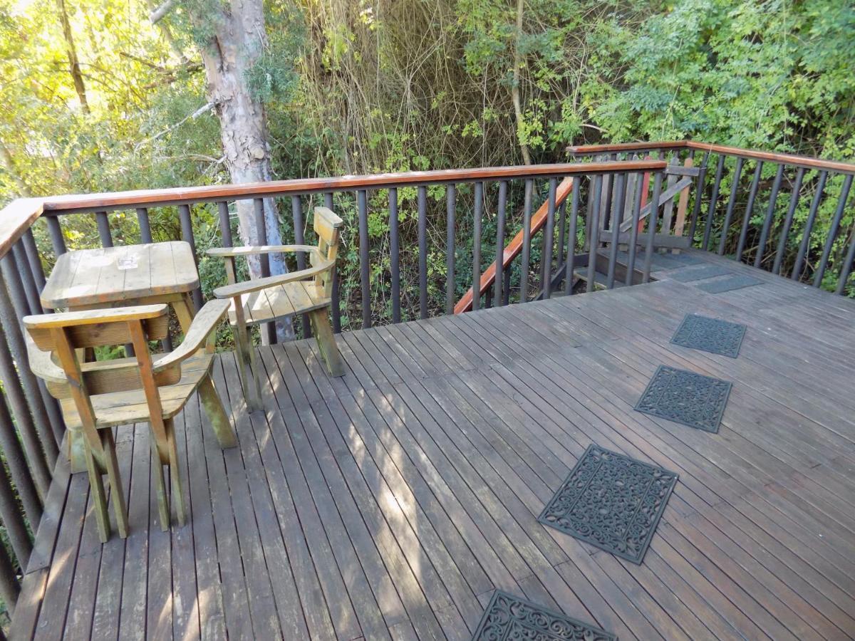 Protea Guest House Knysna Extérieur photo