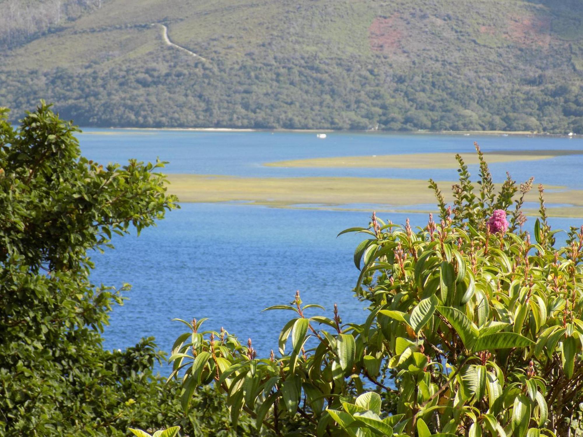 Protea Guest House Knysna Chambre photo